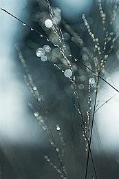 合作跳跃游戏《布莱德与弗莱德》发布试玩版